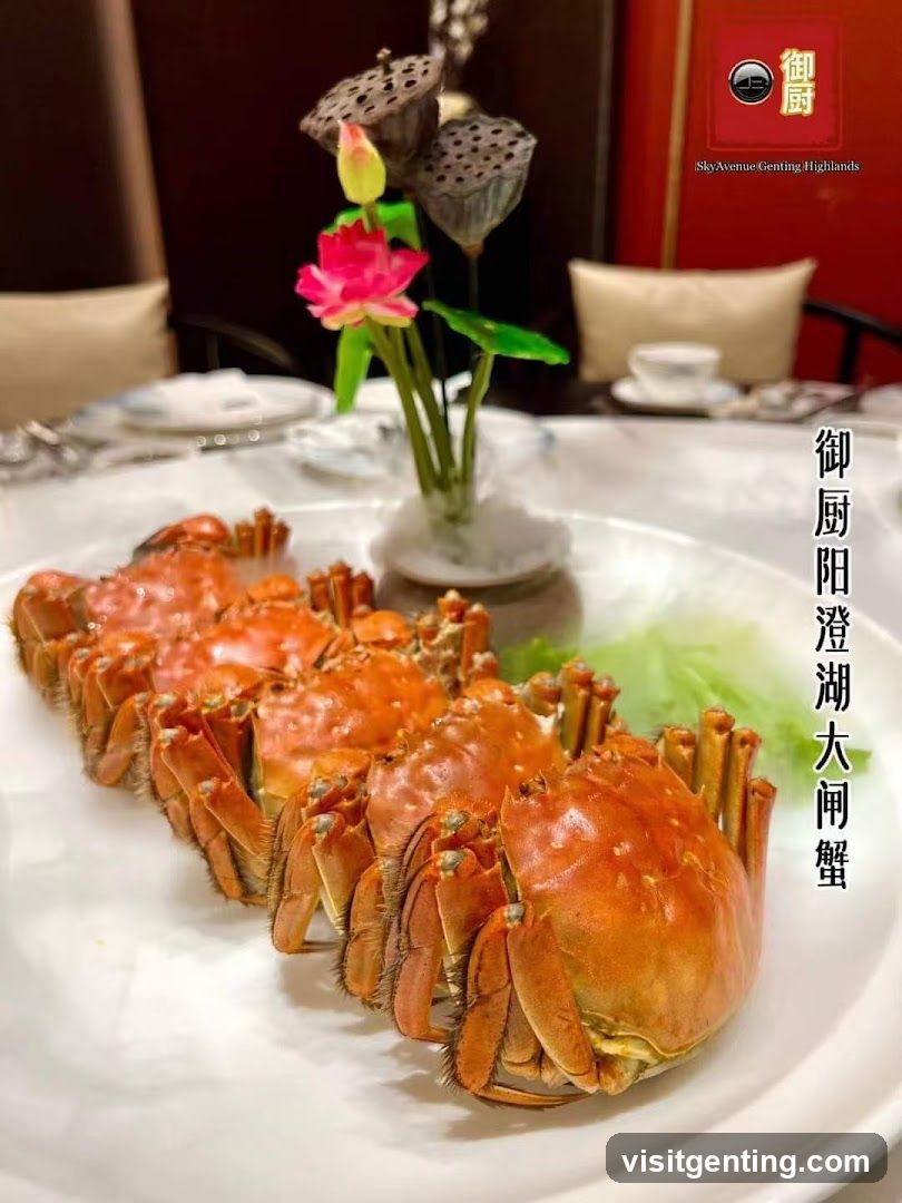 御厨阳澄湖大闸蟹