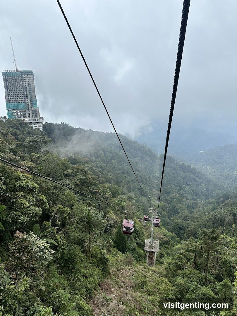 Cable Car View Over Forested Mountains