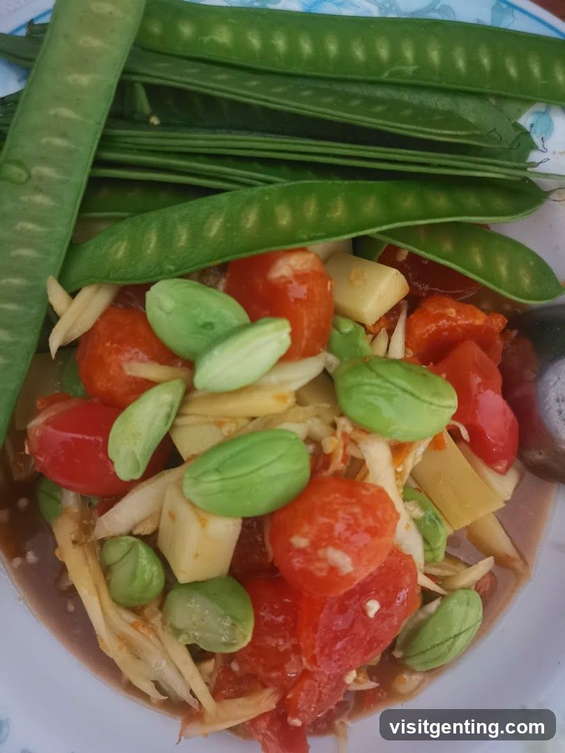 Vegetable Salad