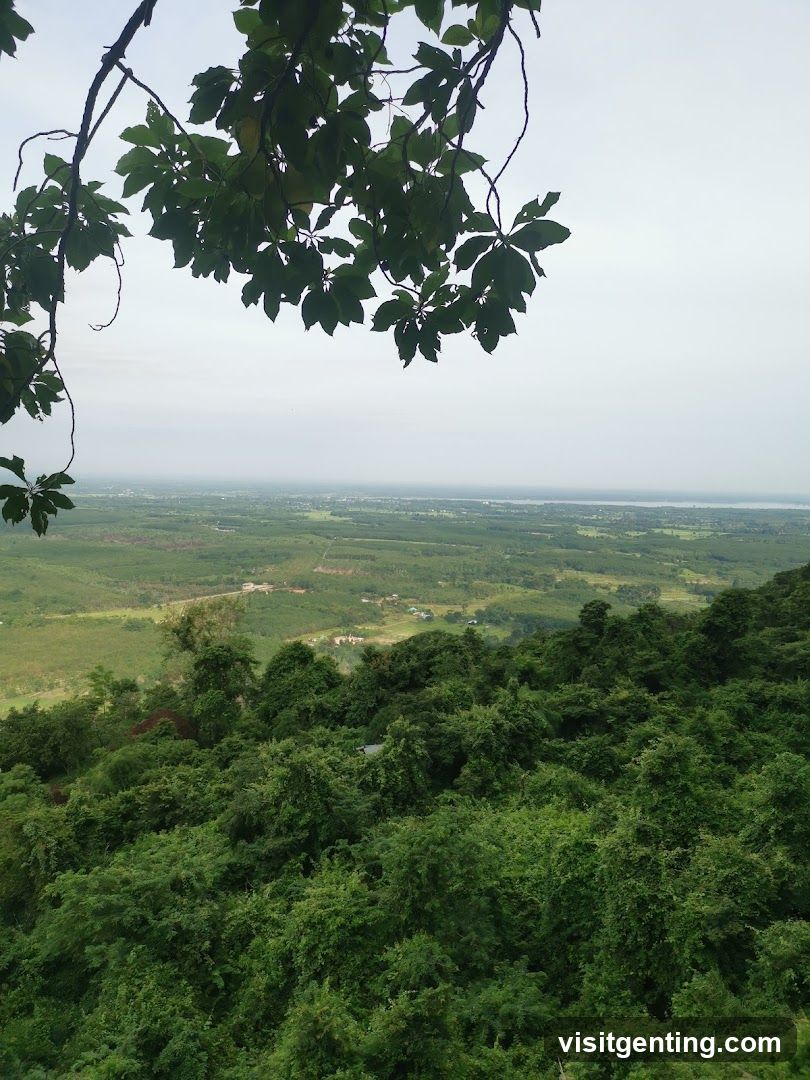 Landscape View from Hilltop