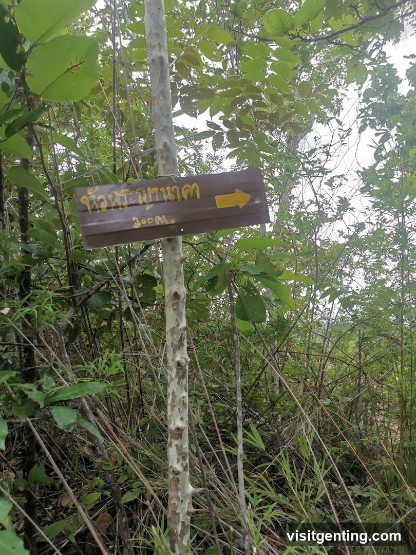 Forest Trail Signage