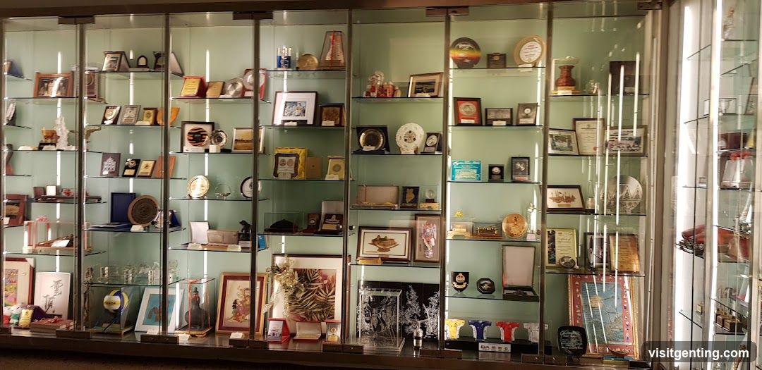 Display Case with Trophies and Awards