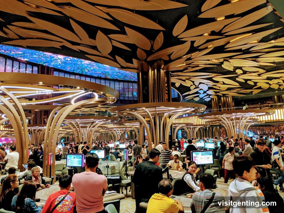 Casino Interior