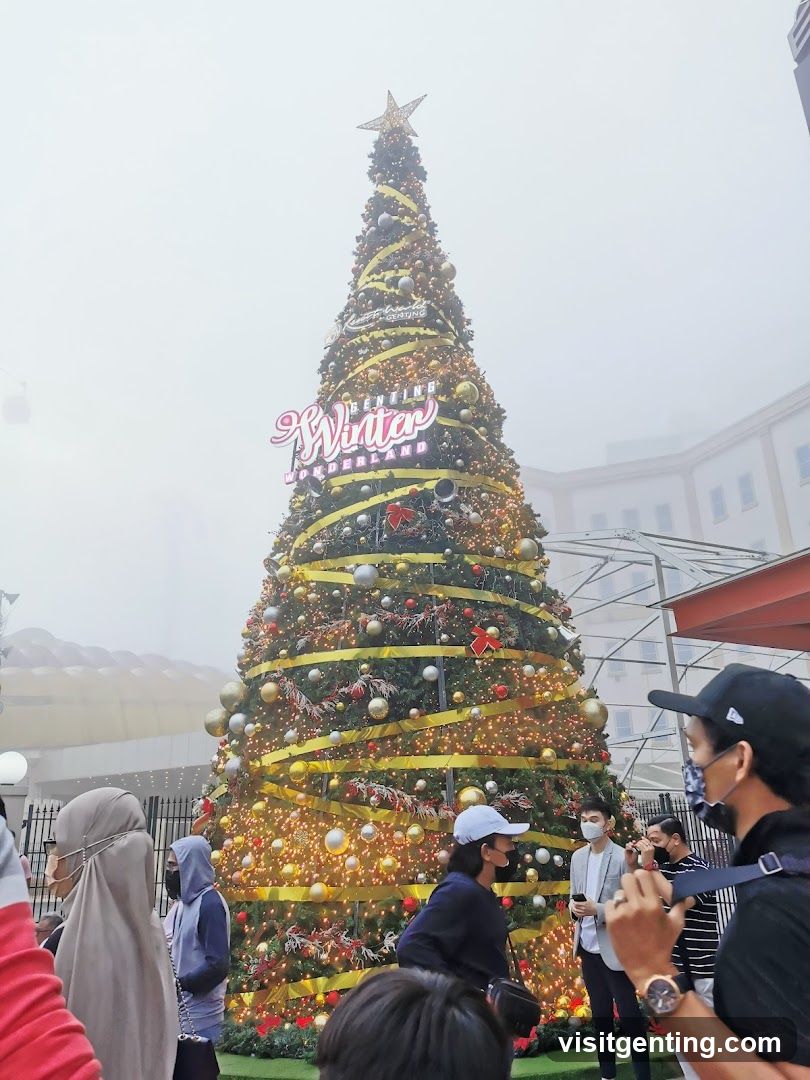 Christmas Tree at Winter Wonderland