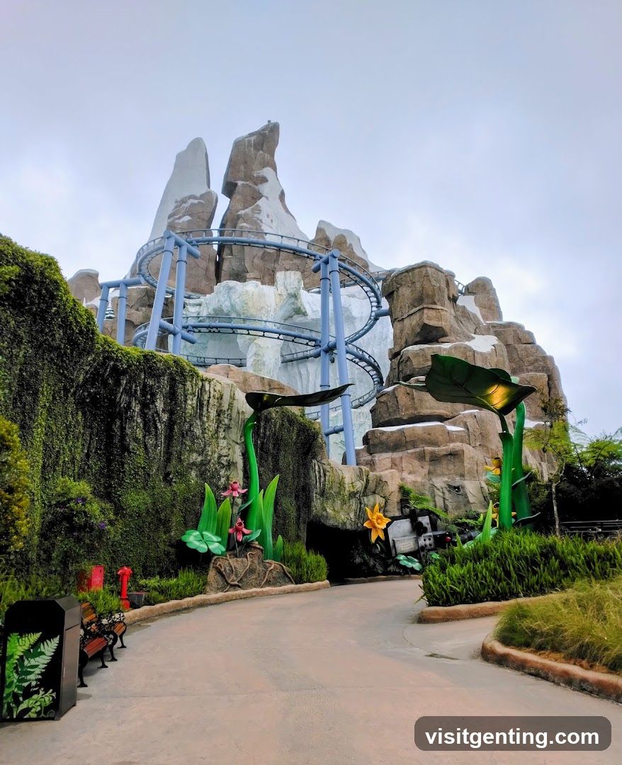 Theme Park Ride Entrance