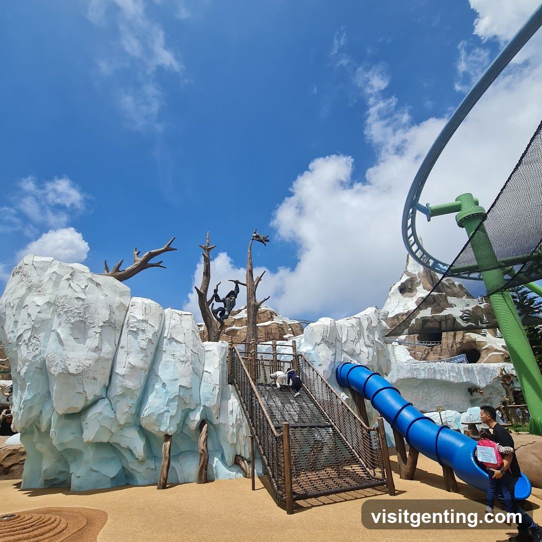 Amusement Park Ride Area