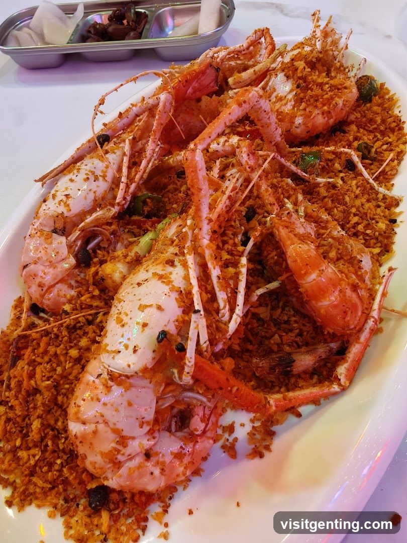 Food Dish