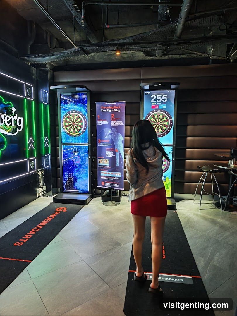 Dart Game Interior