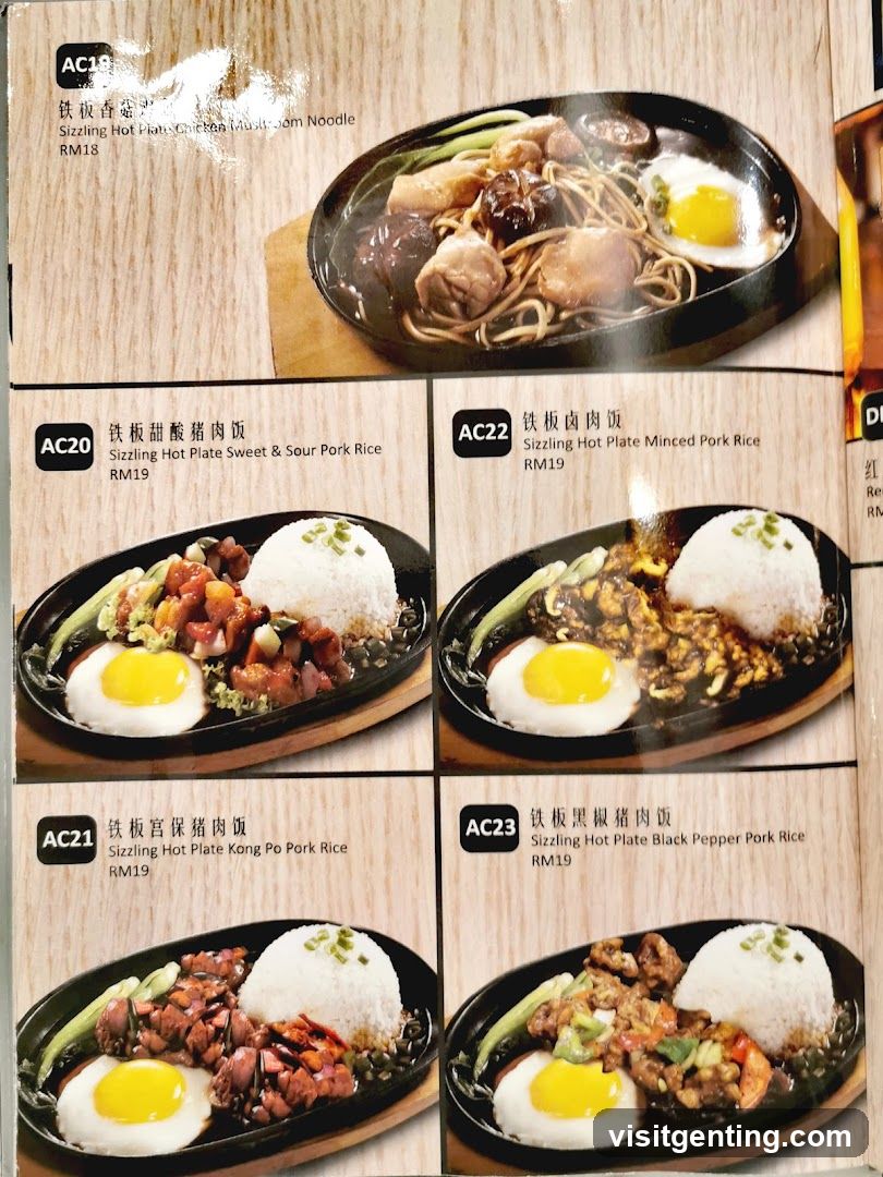 Sizzling Hot Plate Menu