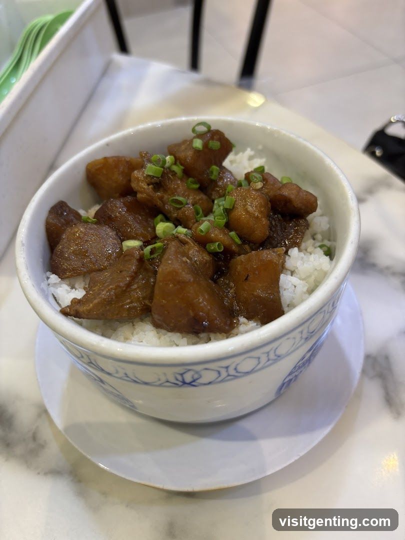 Rice bowl with braised meat
