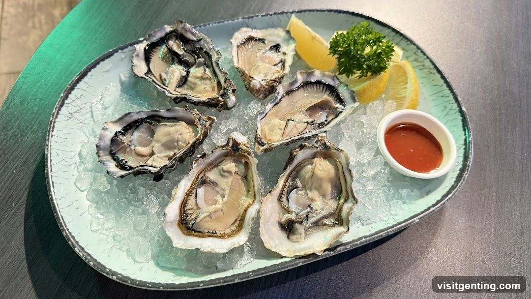 Oysters on ice with lemon and sauce