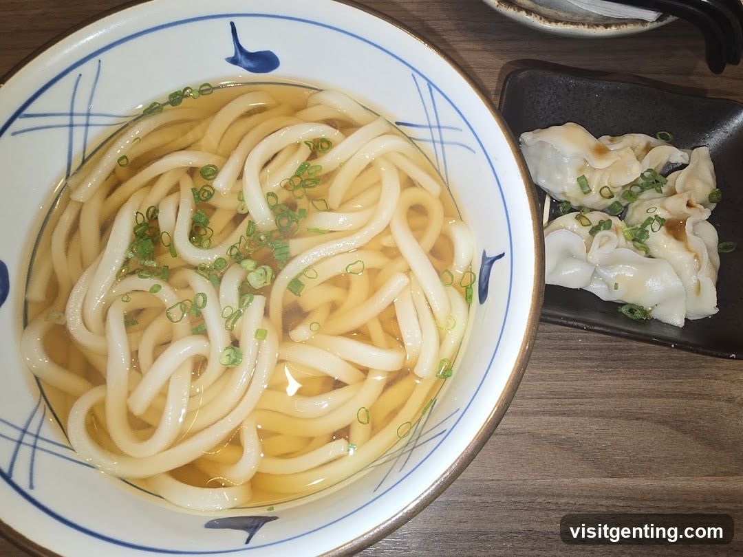 Udon Noodle Bowl with Dumplings