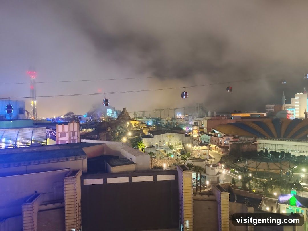 Nighttime amusement park view
