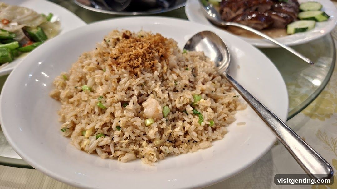 Dinner Plate with Fried Rice