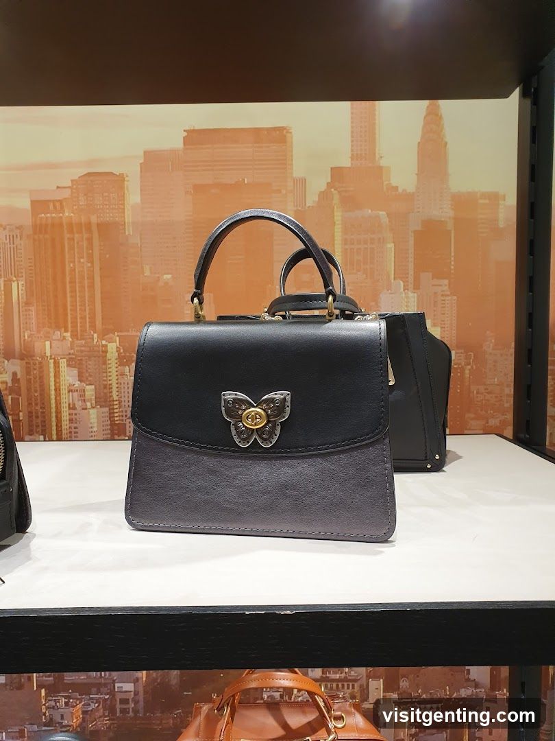 Handbag Display