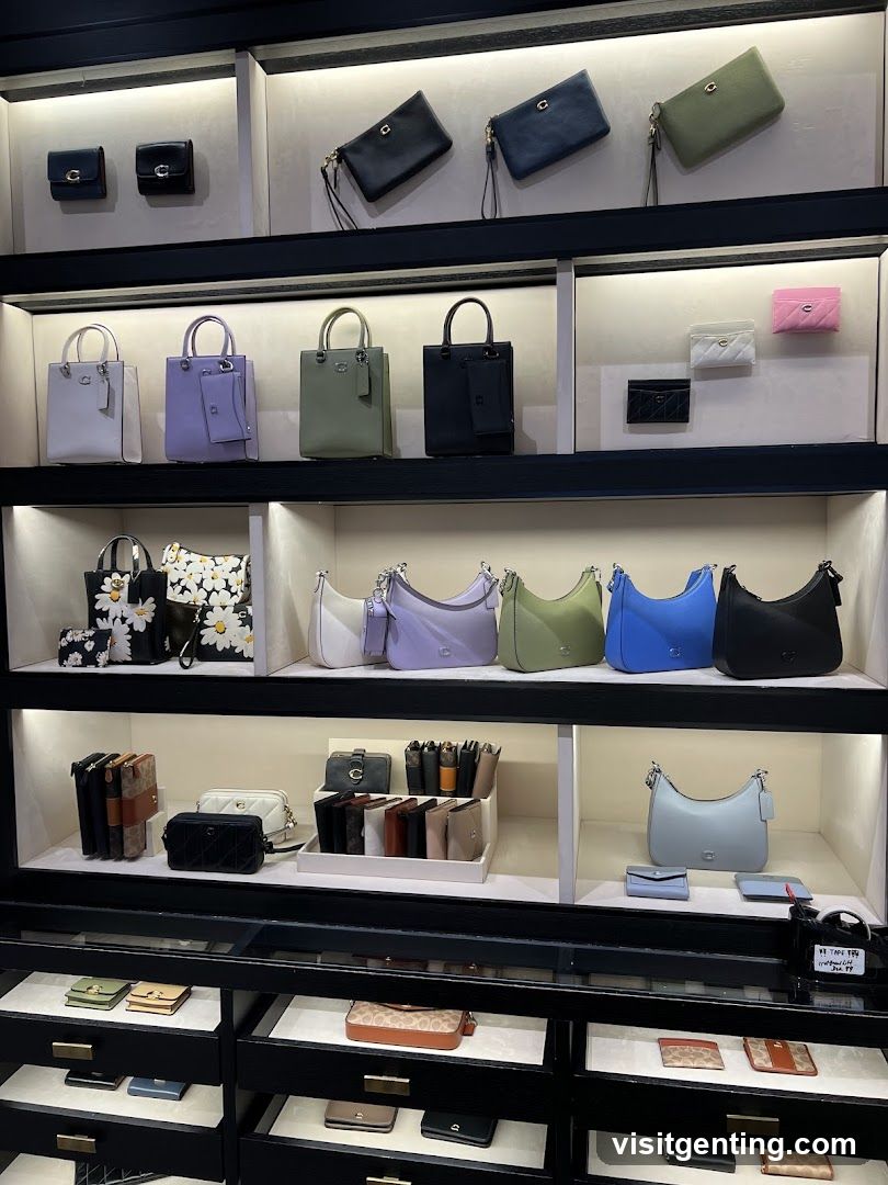 Handbag Display in Retail Store