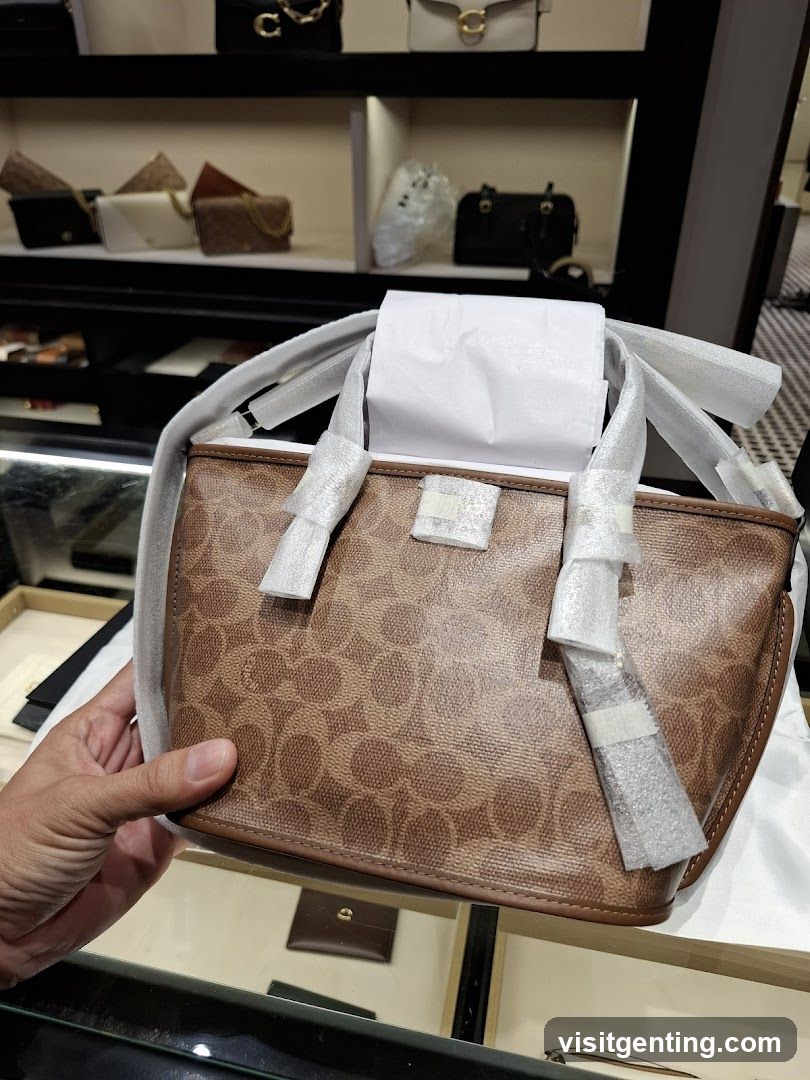 Hand holding Coach bag in store