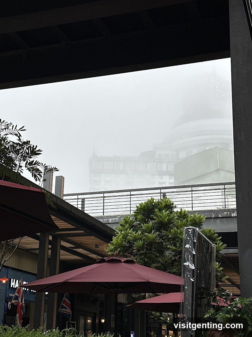 Outdoor seating area with foggy backdrop
