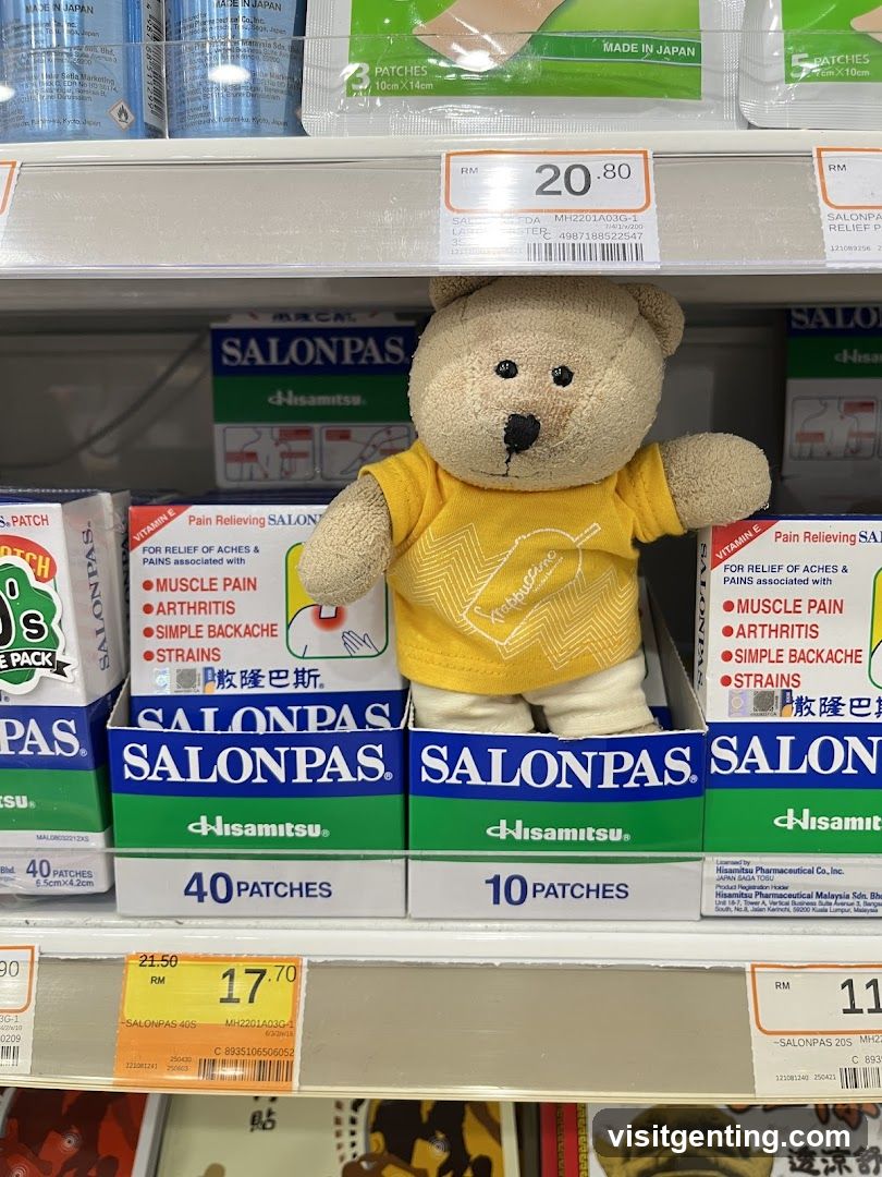 Store Shelf with Salonpas Products