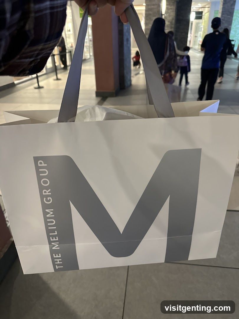 Shopping Bag at Mall Interior