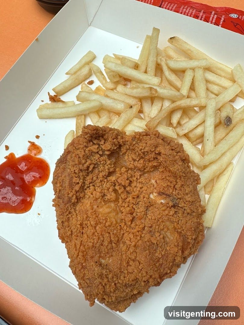 Fried Chicken and Fries Meal