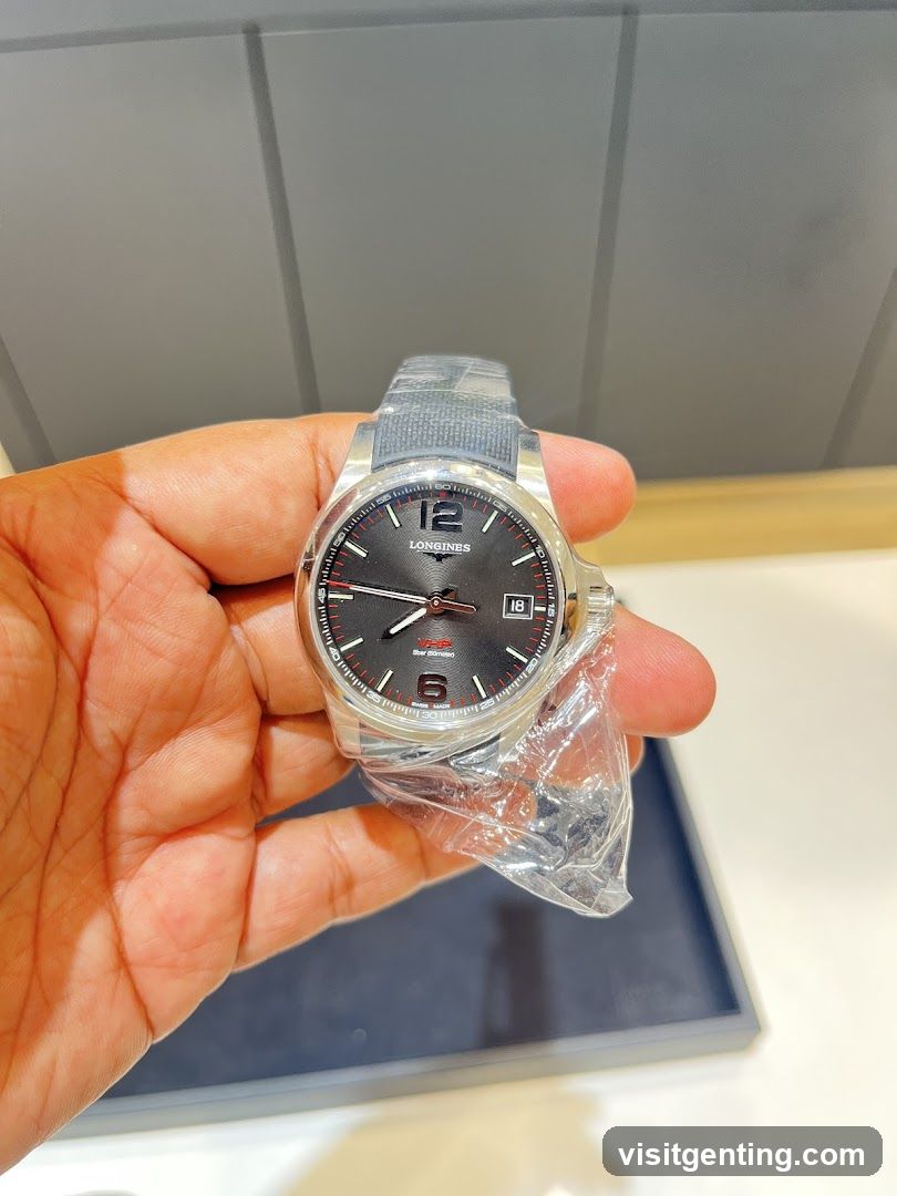 Hand Holding Watch