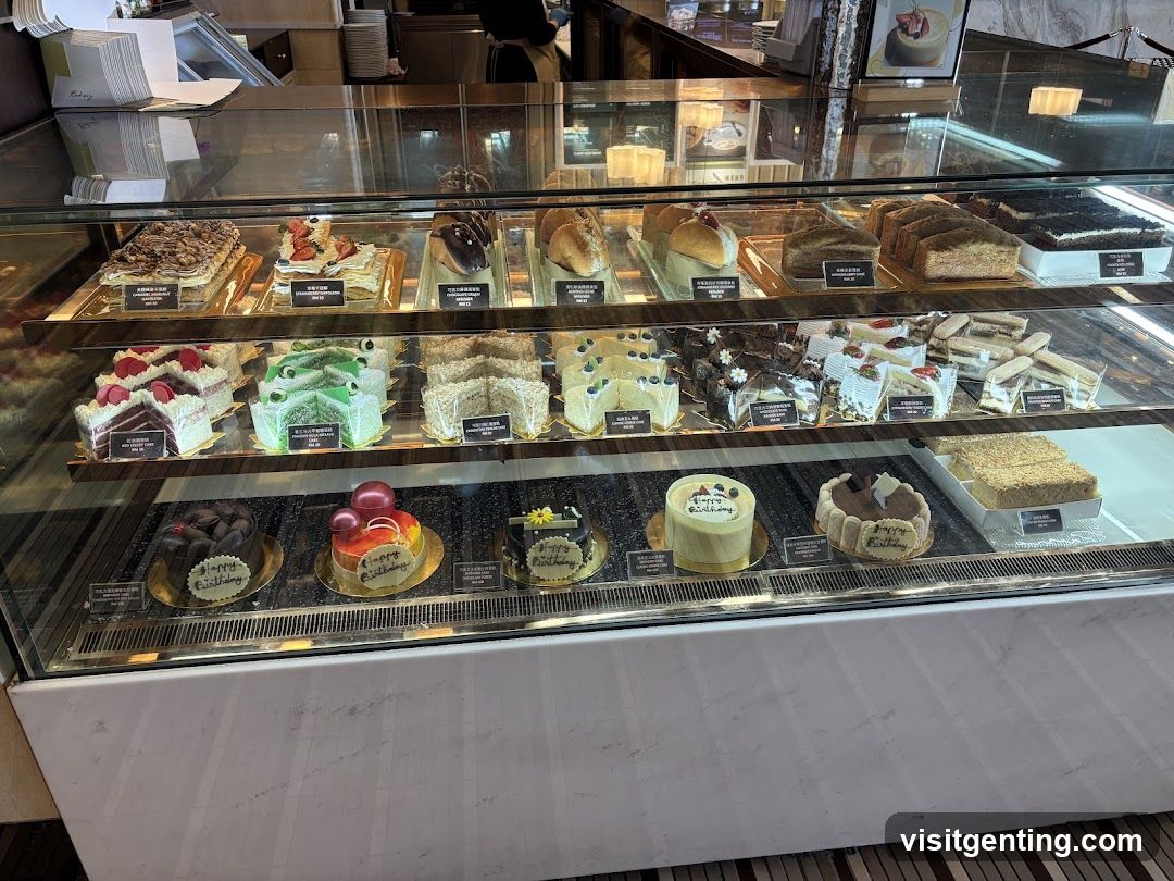 Cake Display Case