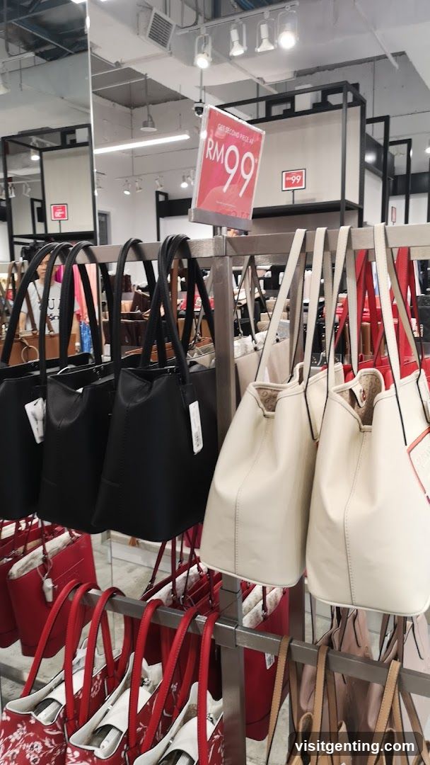 Handbag Display in Retail Store