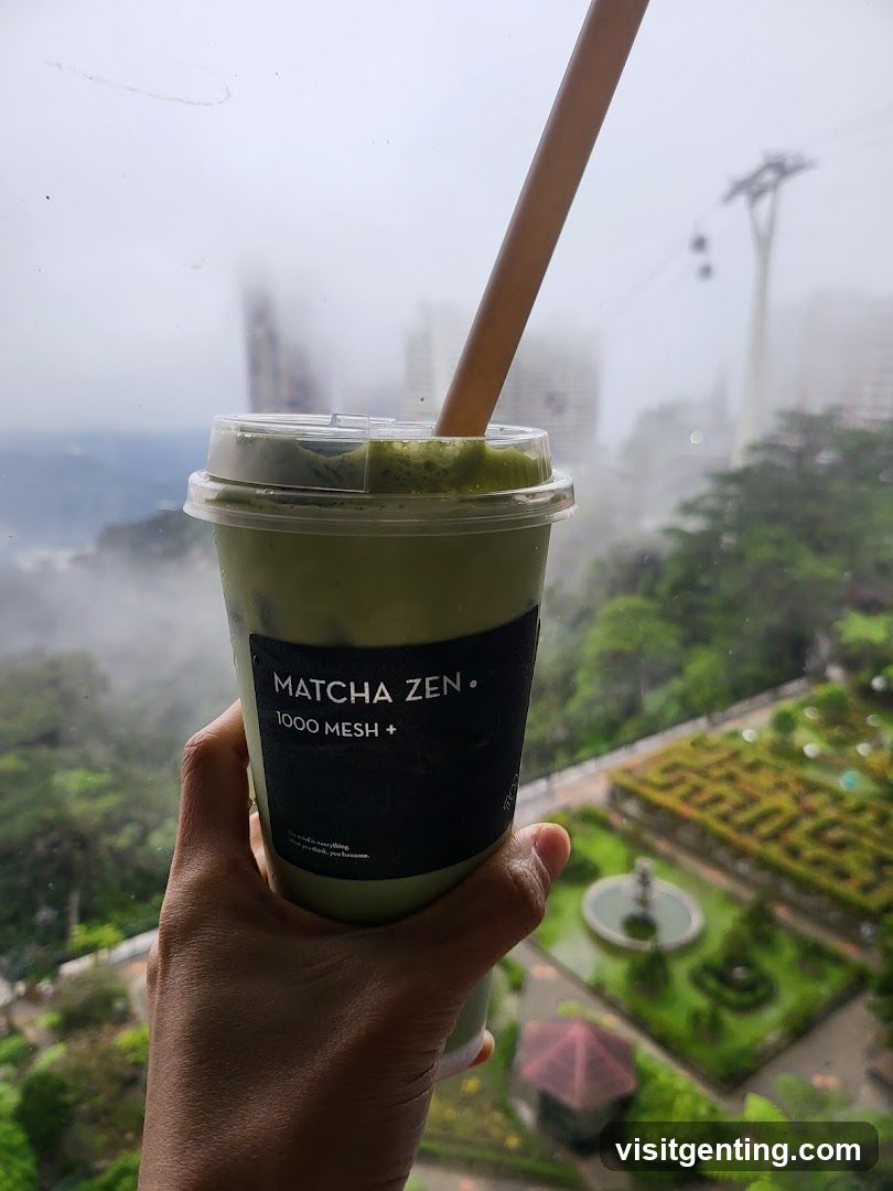 Matcha Zen Drink Held in Hand with View