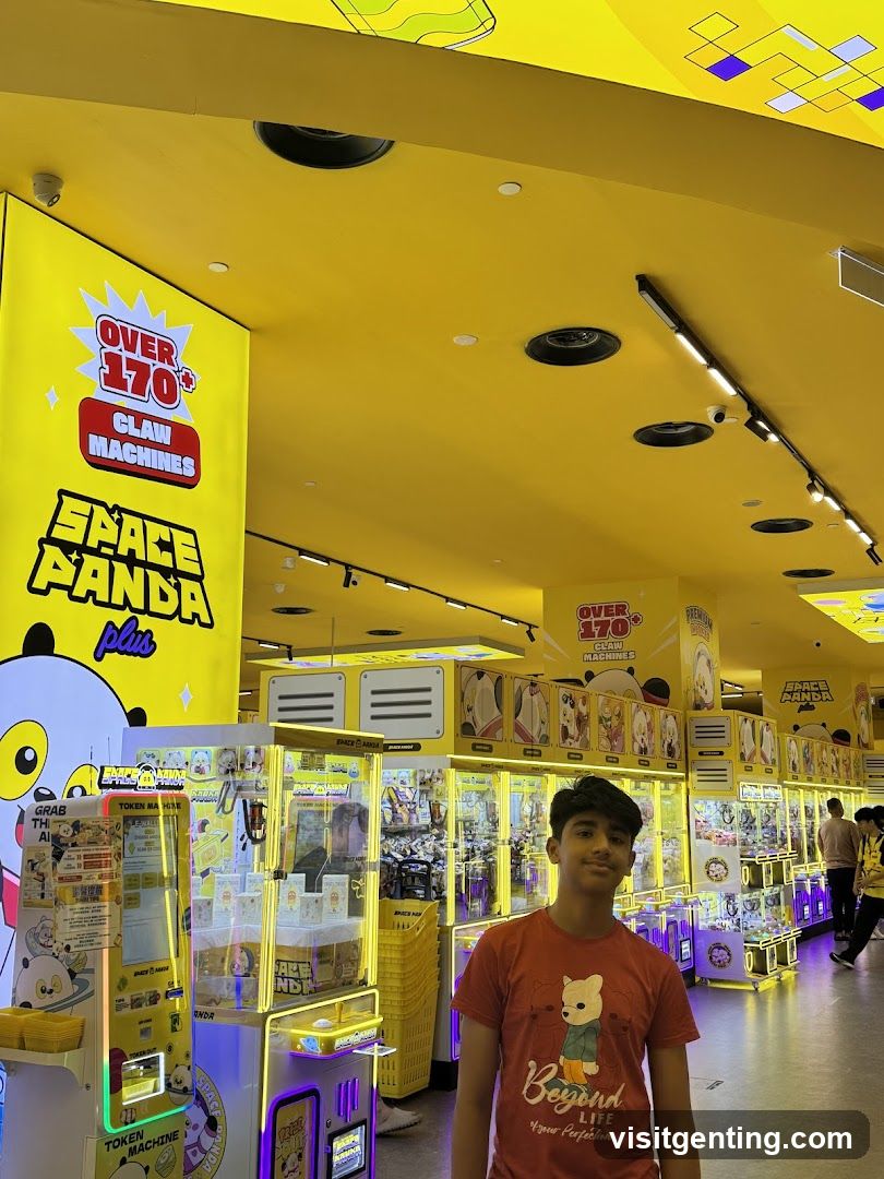 Space Panda Plus Arcade Store Interior