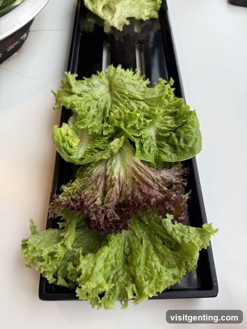 Lettuce on black tray