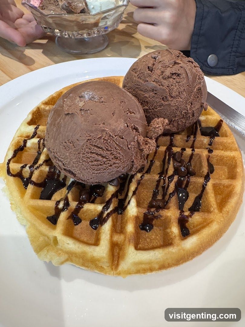 Waffle with Chocolate Ice Cream