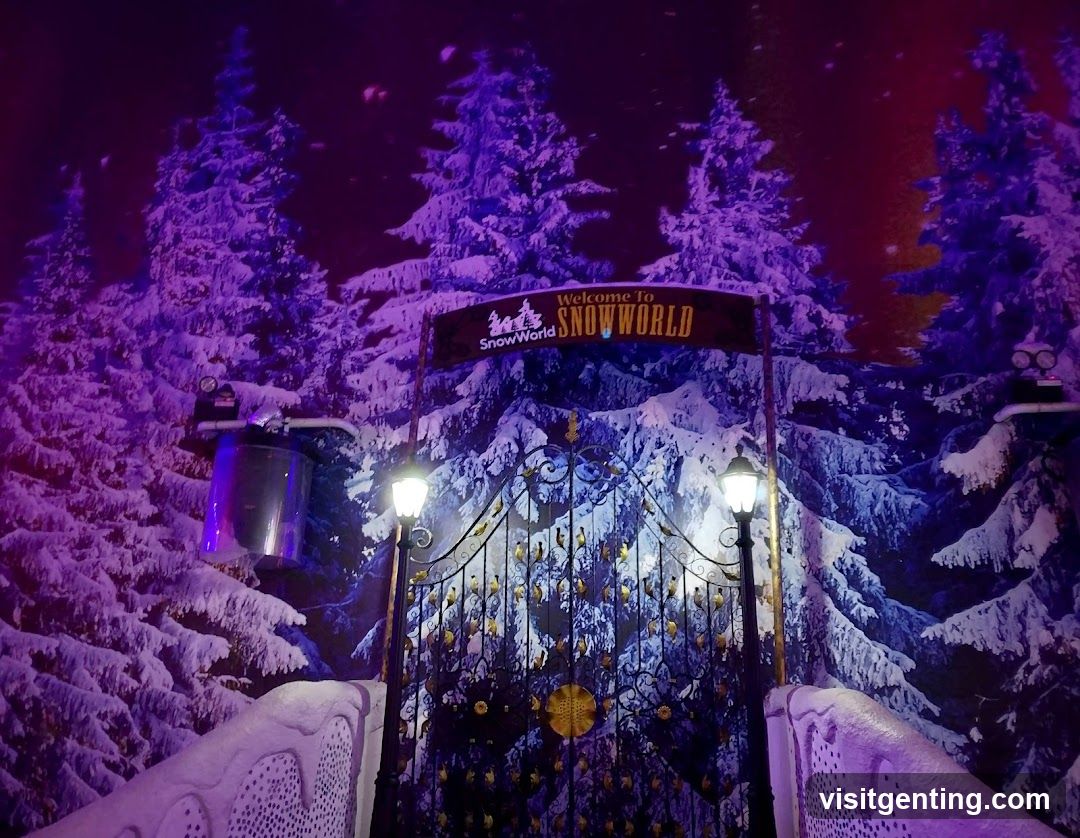 SnowWorld Entrance