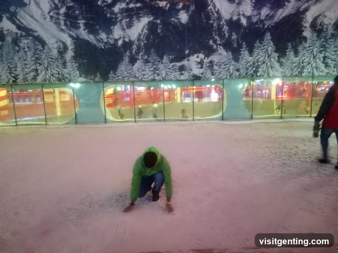 Indoor Snowy Scene with Mountain Background