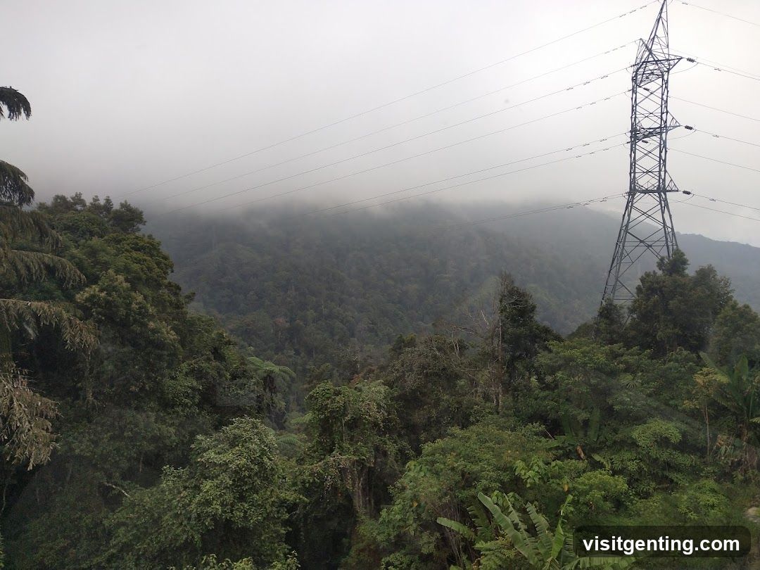 Mountainous Forest with Power Line Tower