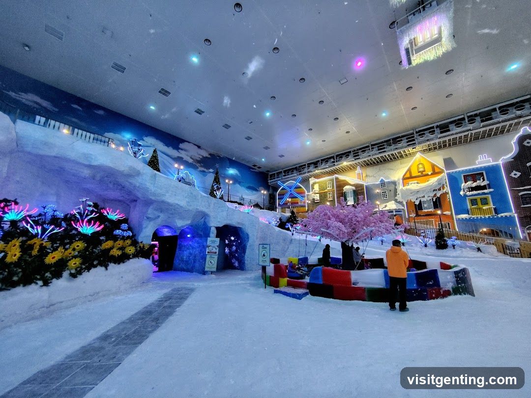 Indoor Snow Theme Park