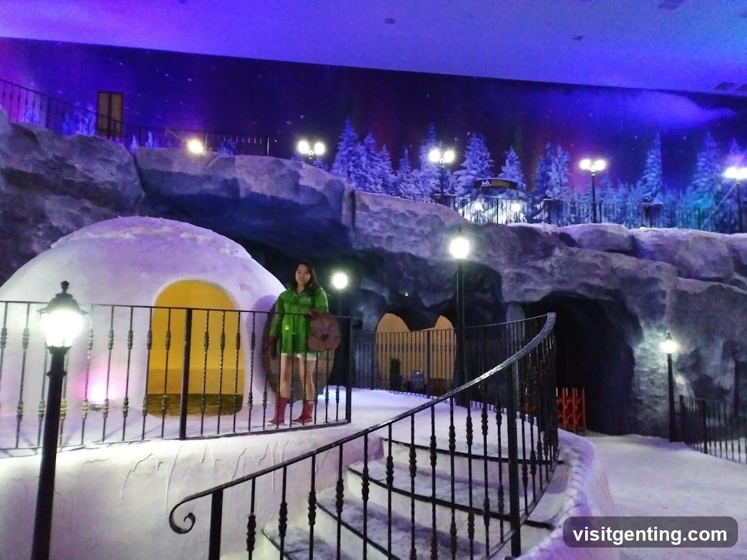 Indoor Winter-themed Exhibit
