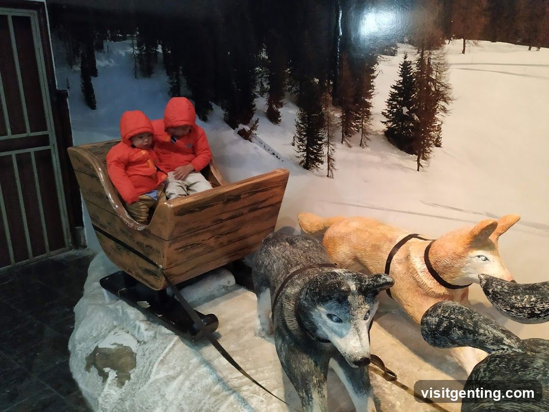 Sled and Dogs Display
