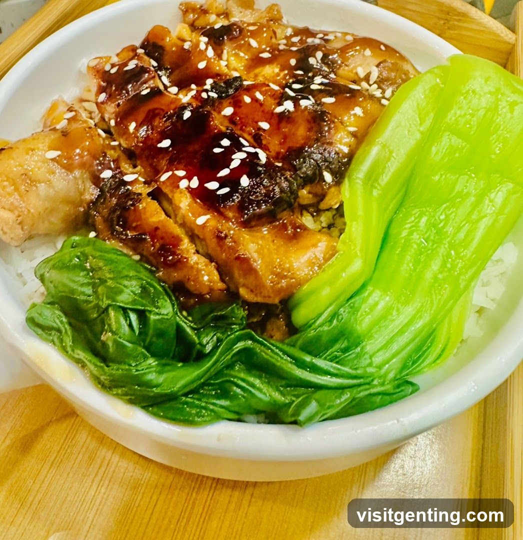 Bowl of Rice with Chicken and Greens
