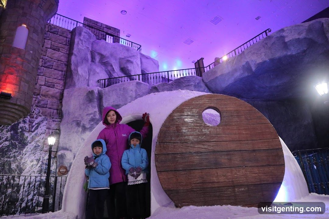 Family in Indoor Snowscape