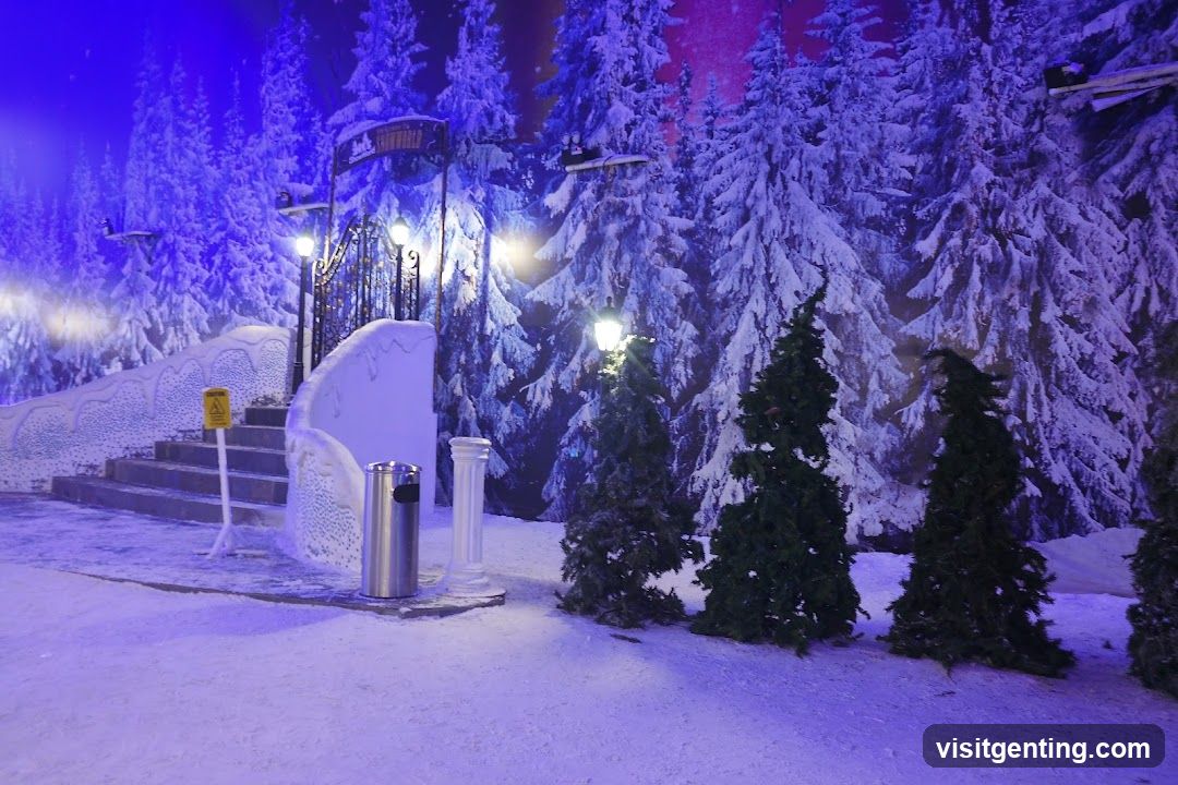Snowy Winter Scene