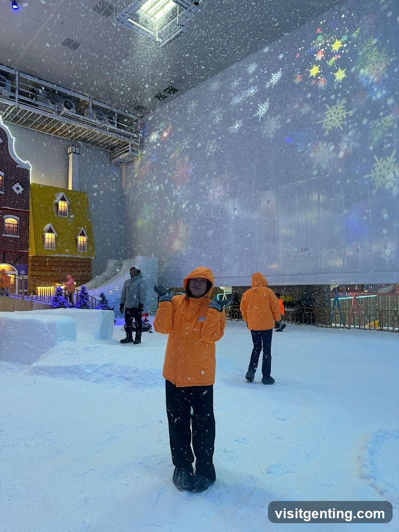 Indoor Snowy Entertainment Venue