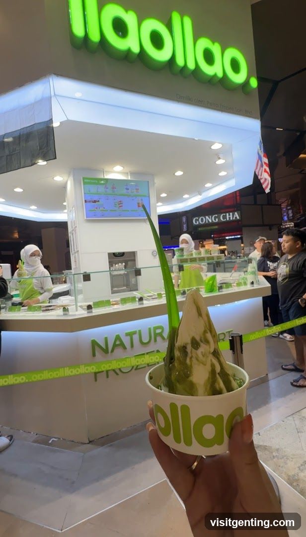 Laoollao Frozen Yogurt Shop Interior