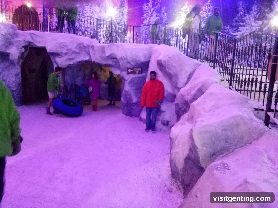 Indoor Snow Theme Park Area