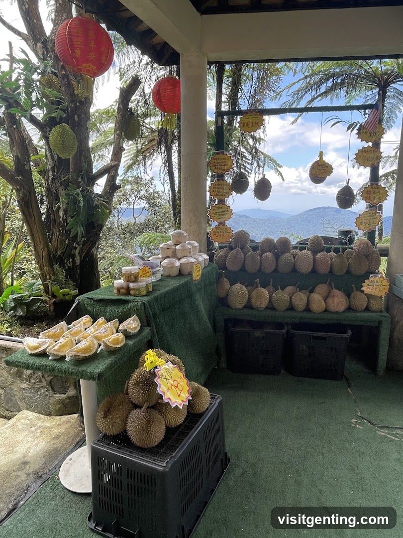 Durian Stand with View