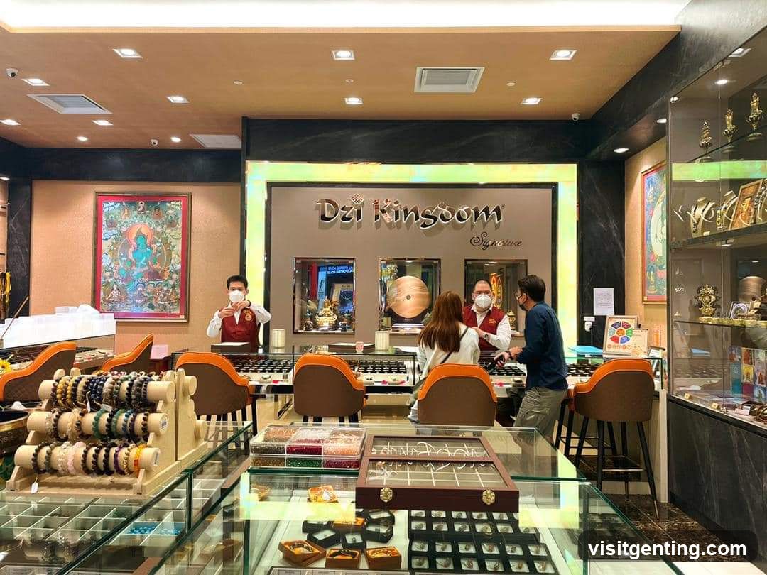 Dzi Kingdom Signature Store Interior