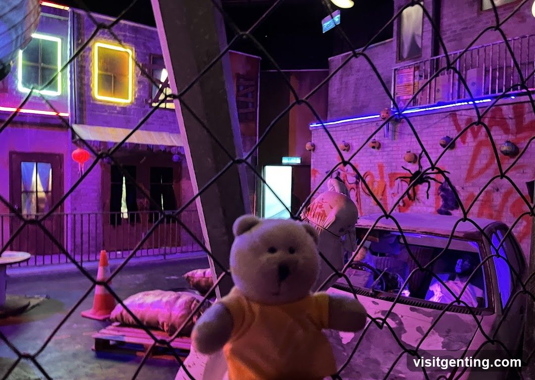 Interior themed display with stuffed bear