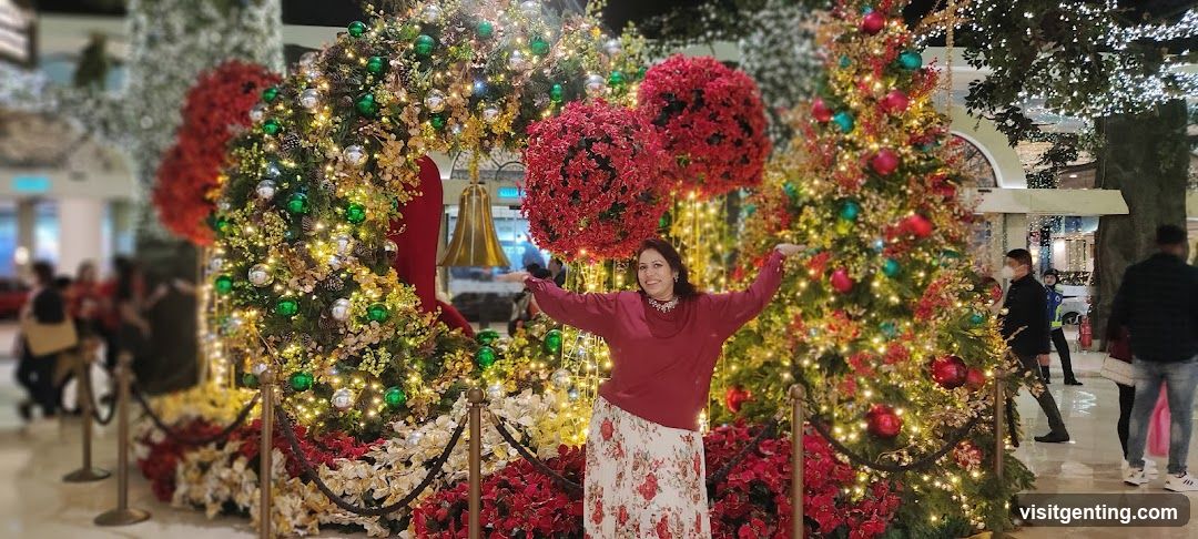 Christmas Festival Display