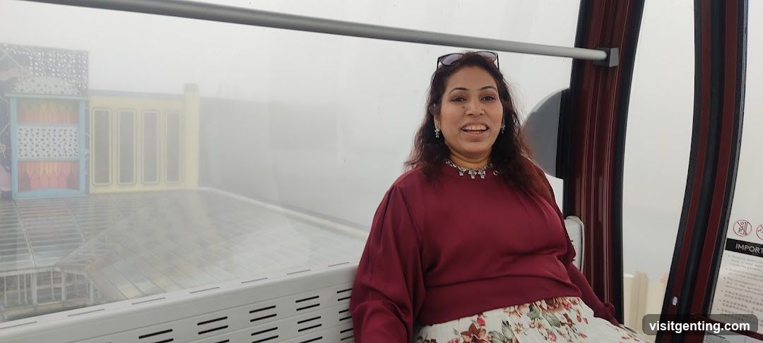 Woman in Cable Car