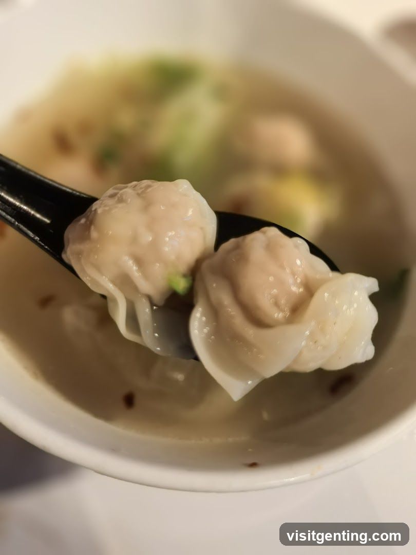 Wonton Soup